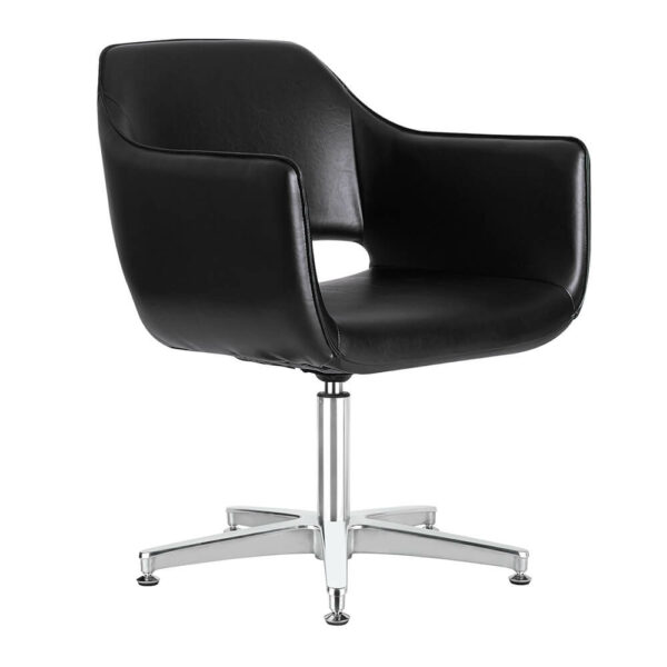 Salon Chairs